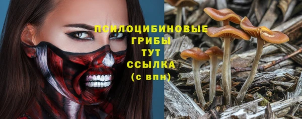 каннабис Абаза