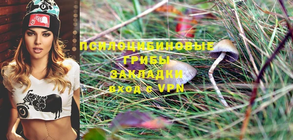 сатива Абдулино