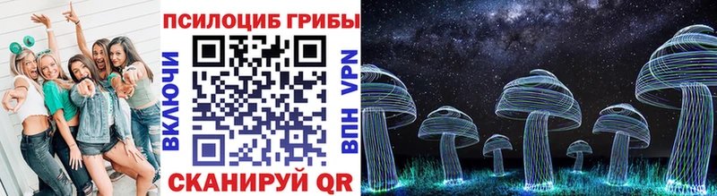 Псилоцибиновые грибы прущие грибы  Шахунья 